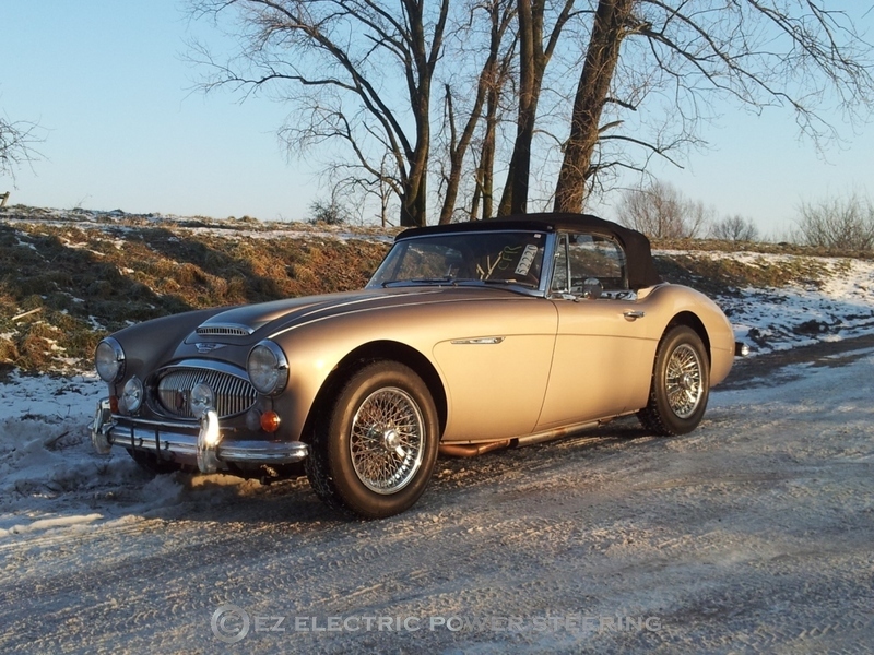 austin healey foto